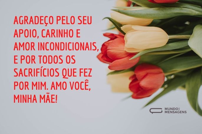 Agradeço pelo seu apoio, carinho e amor incondicionais, e por todos os sacrifícios que fez por mim. Amo você, minha mãe!
