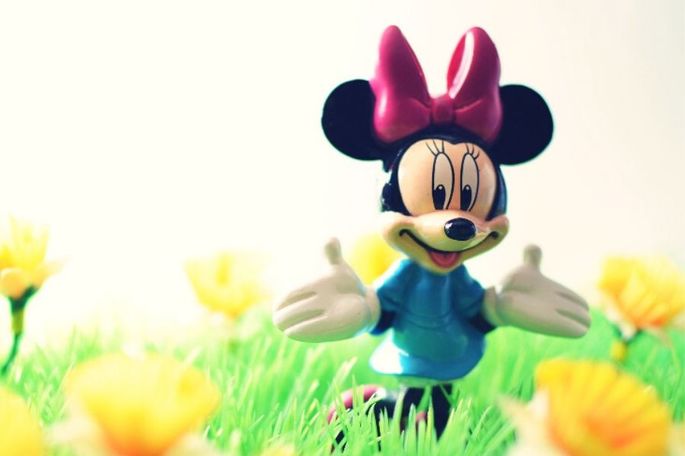 tema minnie