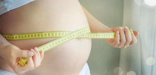 barriga
