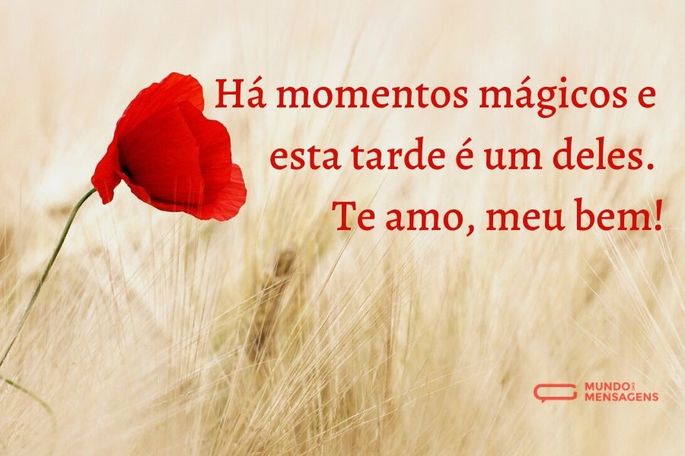 há momentos mágicos e esta tarde