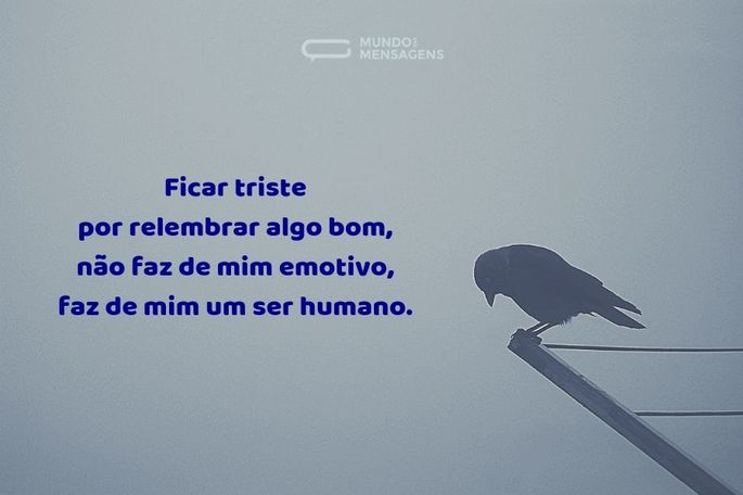 Imagem 11