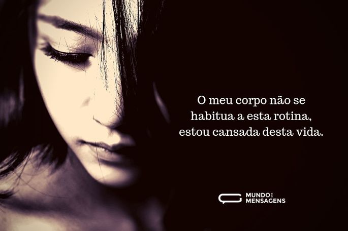Imagem 4