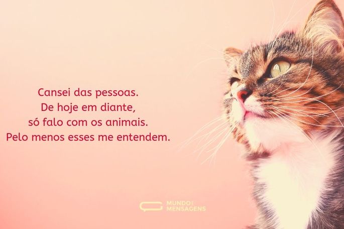 Imagem 5