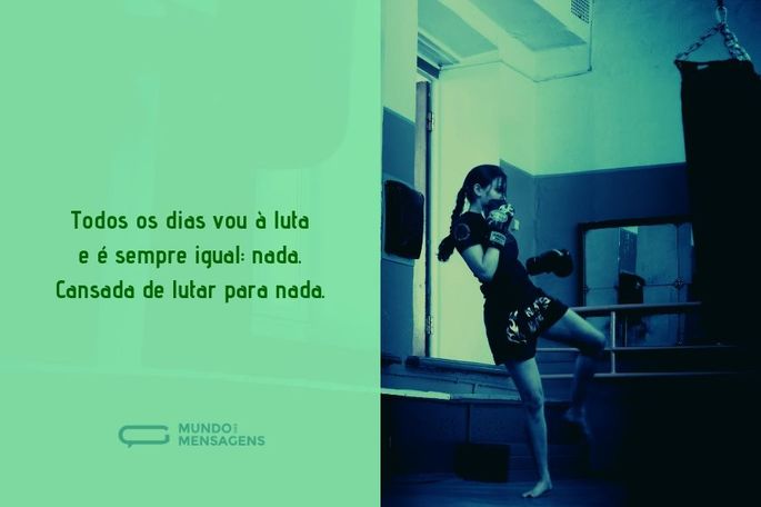 Imagem 7