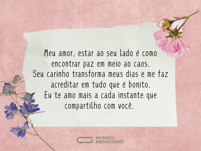 Meu amor, estar ao seu lado é como encontrar paz em meio ao caos. Seu carinho transforma meus dias e me faz acreditar em tudo que é bonito. Eu te amo mais a cada instante que compartilho com você.