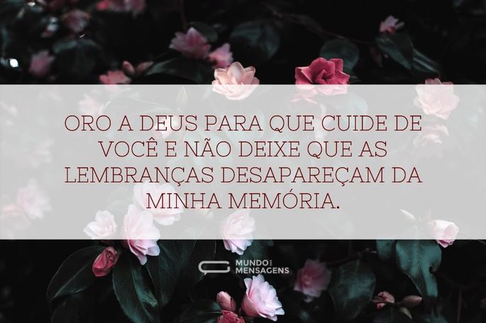 Oro a Deus para que cuide de você e não deixe que as lembranças desapareçam da minha memória.