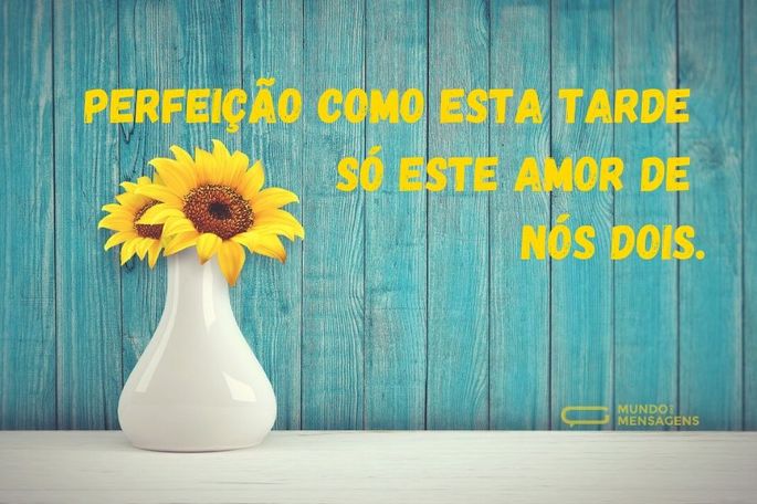 perfeição como esta tarde só este amor