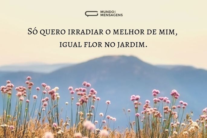 Só quero irradiar o melhor de mim, igual flor no jardim.