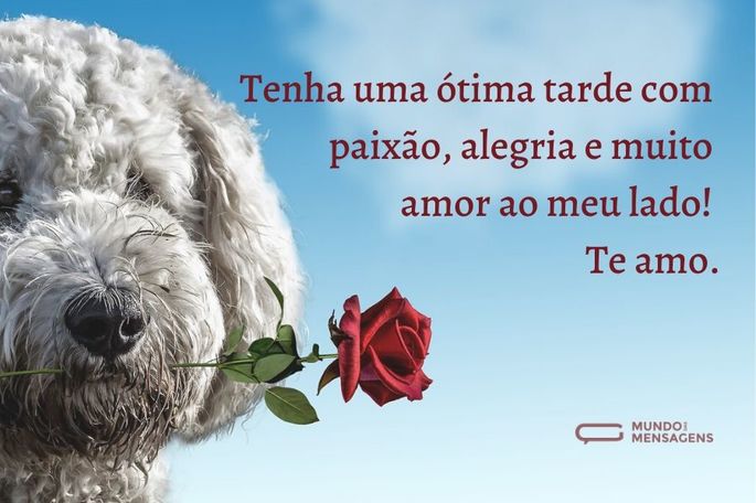 tenha uma ótima tarde com paixão