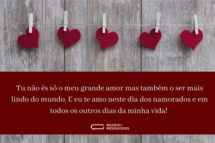 Tu não és só o meu grande amor