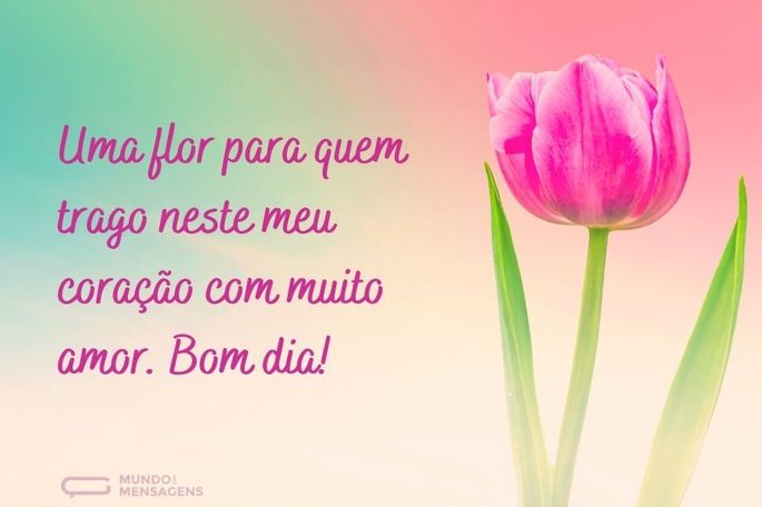 55 Frases De Bom Dia Com Flores Para Encher Todos Os Instantes De Beleza Mundo Das Mensagens 0475