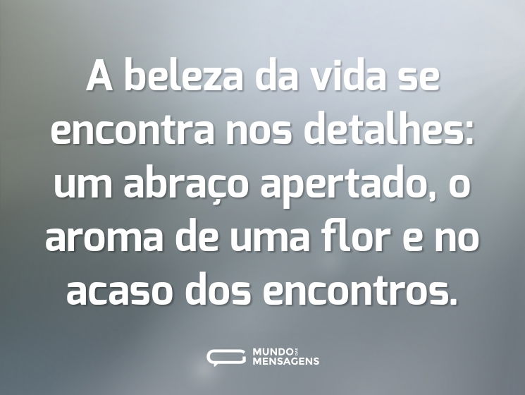 A beleza da vida se encontra nos detalhes: um abraço apertado, o aroma de uma flor e no acaso dos encontros.