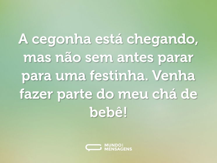 A cegonha está chegando, mas não sem antes parar para uma festinha. Venha fazer parte do meu chá de bebê!