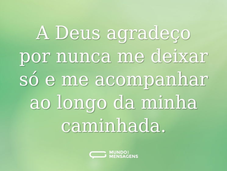 A Deus agradeço por nunca me deixar só e me acompanhar ao longo da minha caminhada.