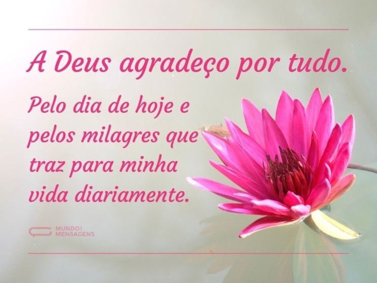 A Deus agradeço por tudo. Pelo dia de hoje e pelos milagres que traz para minha vida diariamente.