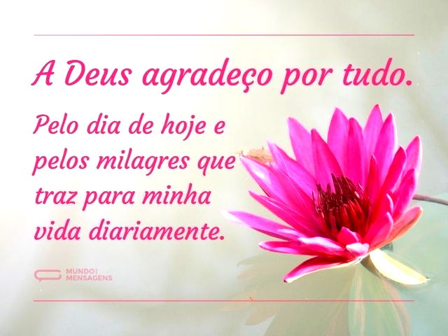 A Deus agradeço por tudo. Pelo dia de ho...