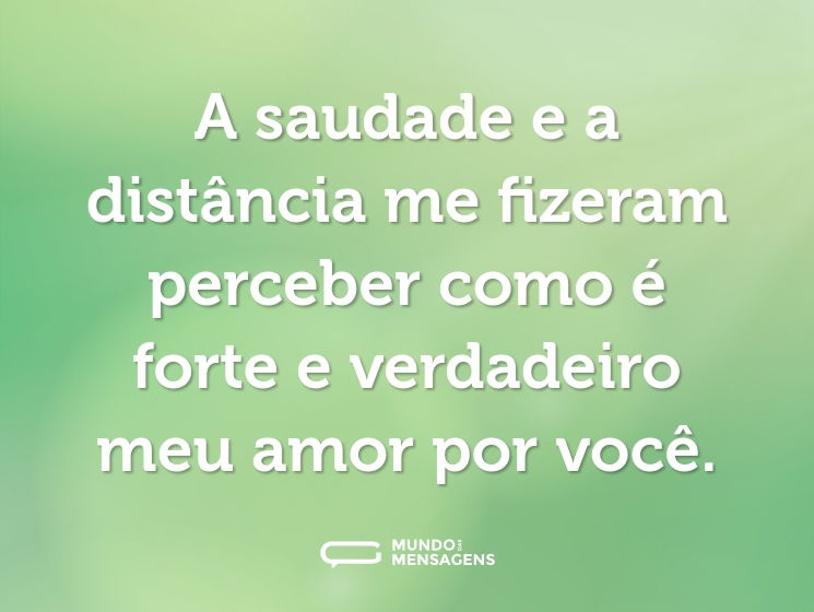 A saudade e a distância me fizeram perceber como é forte e verdadeiro meu amor por você.