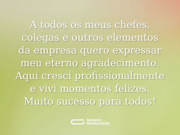 A todos os meus chefes, colegas e outros elementos da empresa quero expressar meu eterno agradecimento. Aqui cresci profissionalmente e vivi momentos felizes. Muito sucesso para todos!