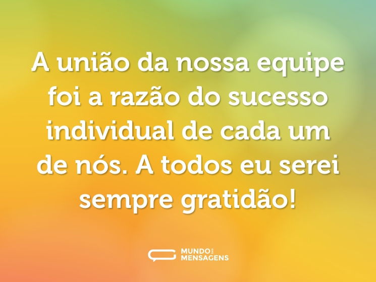 A união da nossa equipe foi a razão do sucesso individual de cada um de nós. A todos eu serei sempre gratidão!