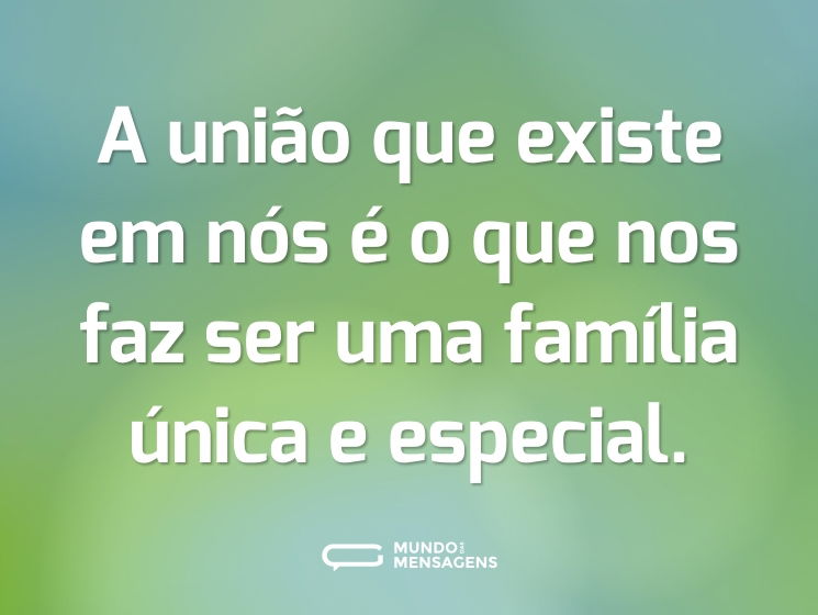 A união que existe em nós é o que nos faz ser uma família única e especial.