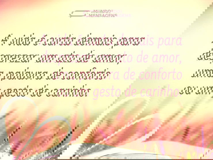 Um gesto de carinho nesta vida curta - Mundo das Mensagens