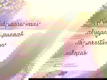 A velocidade que damos para a vida