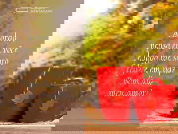 Felicidade pela manhã