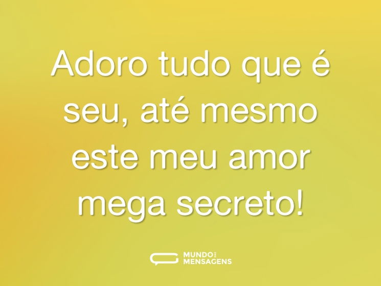 Adoro tudo que é seu, até mesmo este meu amor mega secreto!
