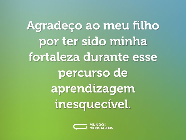 Agradeço ao meu filho por ter sido minha fortaleza durante esse percurso de aprendizagem inesquecível.
