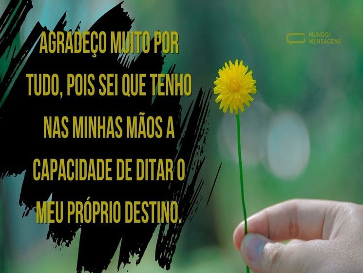 Agradeço muito por tudo, pois sei que tenho nas minhas mãos a capacidade de ditar o meu próprio destino.