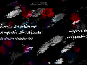 Sou grato pela sua companhia