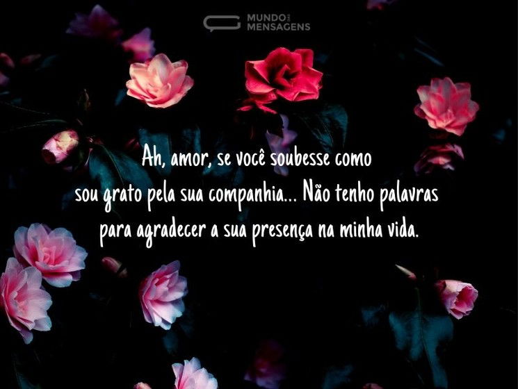 Sou grato pela sua companhia