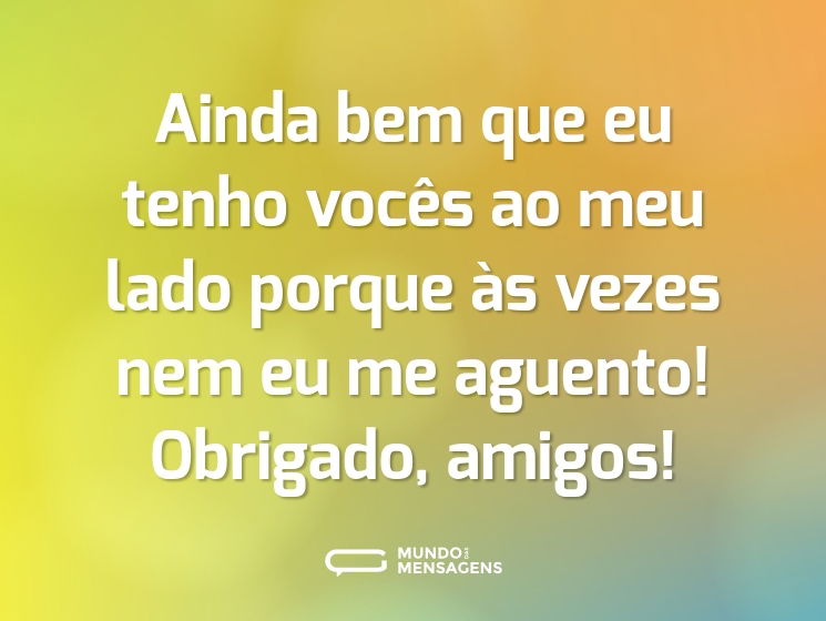 Ainda bem que eu tenho vocês ao meu lado porque às vezes nem eu me aguento! Obrigado, amigos!