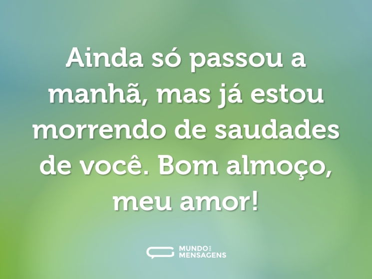 Ainda só passou a manhã, mas já estou morrendo de saudades de você. Bom almoço, meu amor!