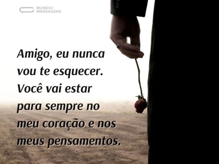 Amigo, eu nunca vou te esquecer. Você vai estar para sempre no meu coração e no meus pensamentos.