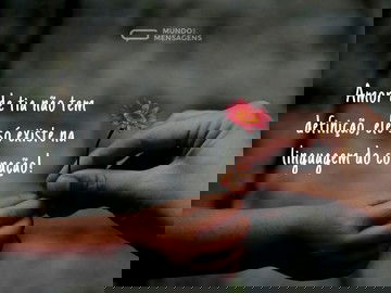 Definir o amor de uma tia