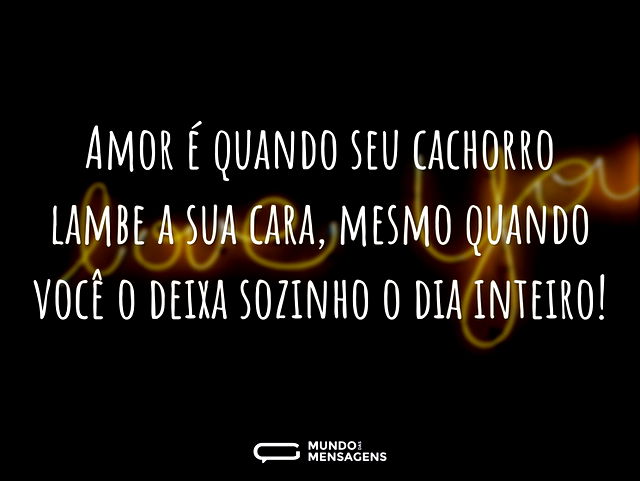 Amor é quando seu cachorro lambe a sua c...