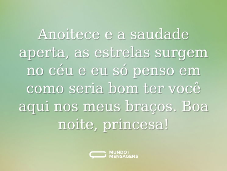 Anoitece e a saudade aperta, as estrelas surgem no céu e eu só penso em como seria bom ter você aqui nos meus braços. Boa noite, princesa!
