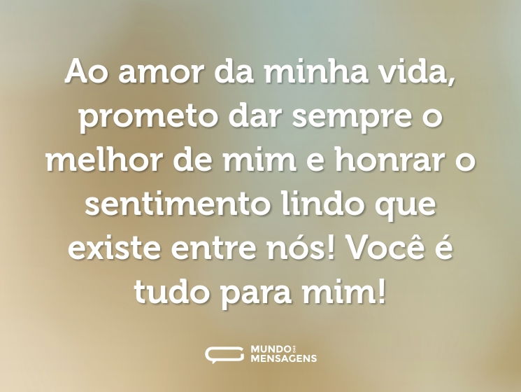 Ao amor da minha vida, prometo dar sempre o melhor de mim e honrar o sentimento lindo que existe entre nós! Você é tudo para mim!