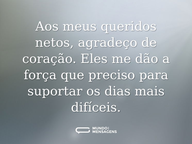 Aos meus queridos netos, agradeço de coração. Eles me dão a força que preciso para suportar os dias mais difíceis.