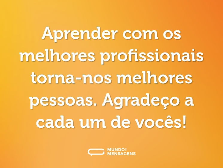 Aprender com os melhores profissionais torna-nos melhores pessoas. Agradeço a cada um de vocês!
