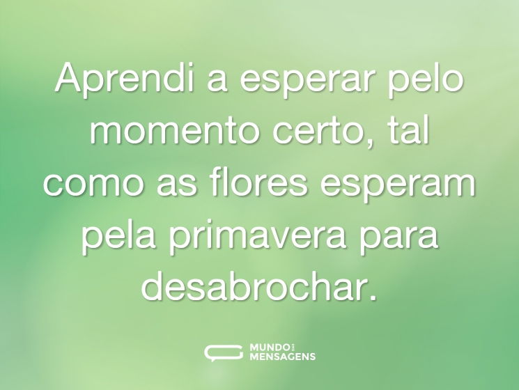 Aprendi a esperar pelo momento certo, tal como as flores esperam pela primavera para desabrochar.