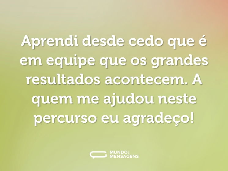 Aprendi desde cedo que é em equipe que os grandes resultados acontecem. A quem me ajudou neste percurso eu agradeço!