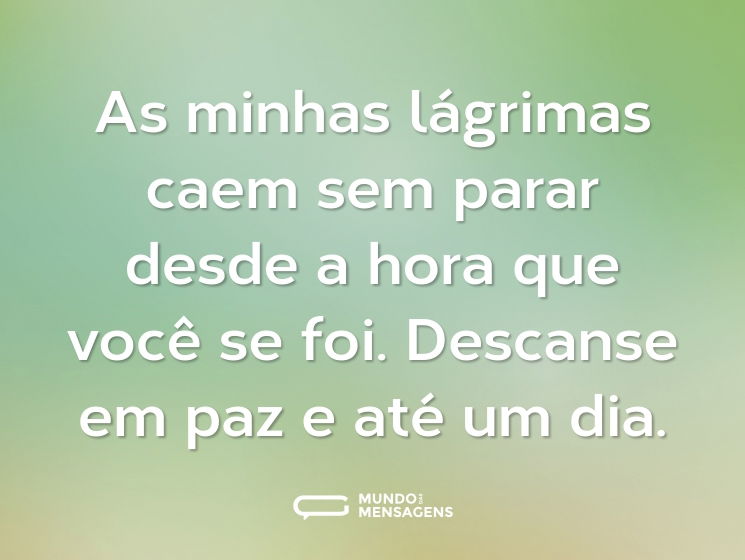 As minhas lágrimas caem sem parar desde a hora que você se foi. Descanse em paz e até um dia.
