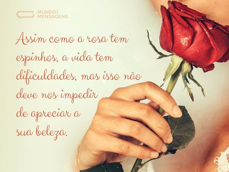 Foco no lado bom da vida - Mundo das Mensagens