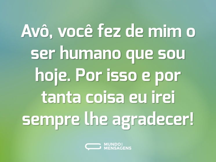 Avô, você fez de mim o ser humano que sou hoje. Por isso e por tanta coisa eu irei sempre lhe agradecer!