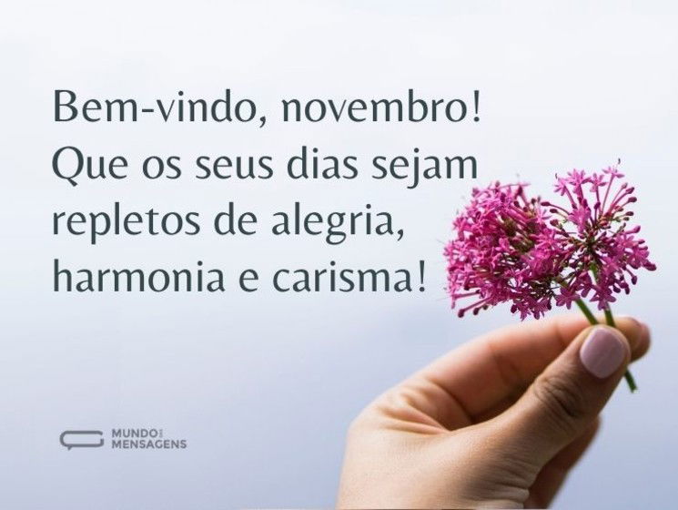 Bem-vindo, novembro e seus dias de alegria