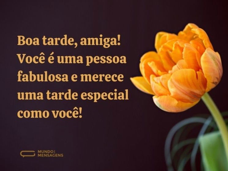 Boa tarde, amiga fabulosa