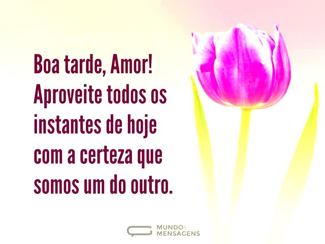 Aproveitar a tarde com amor