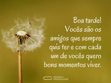 Bons Momentos de uma Tarde com Amigos